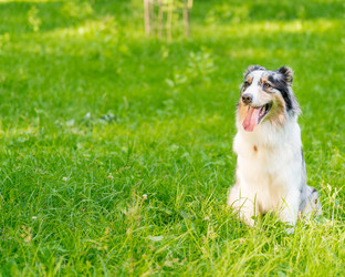 Similar image 21774729