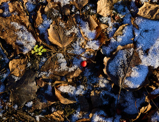 Similar image 21774738