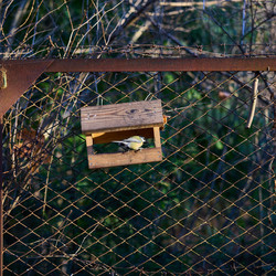 Similar image 21774740