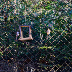 Similar image 21774774