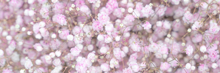 Similar image 21774791