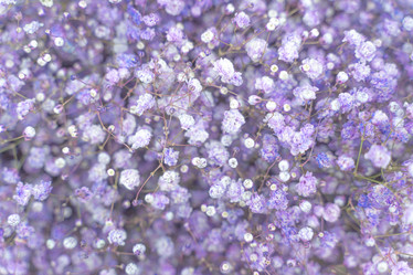 Similar image 21774793