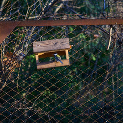 Similar image 21774799