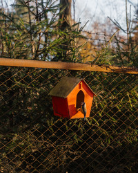 Similar image 21774806