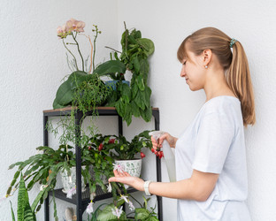 Similar image 21774807