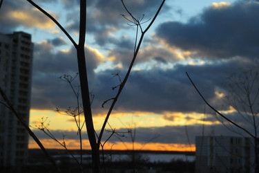 Similar image 21775091