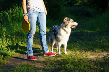 Similar image 21775472