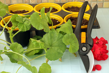 Similar image 21774908