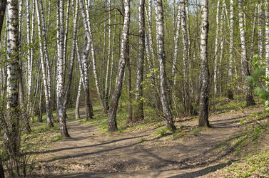 Similar image 21774536