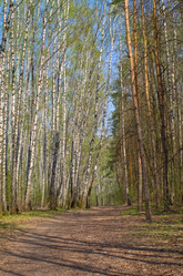 Similar image 21774538