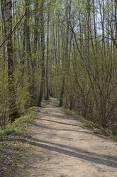 Similar image 21774539