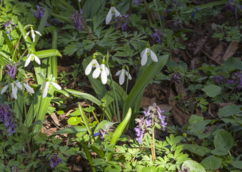 Similar image 21774540