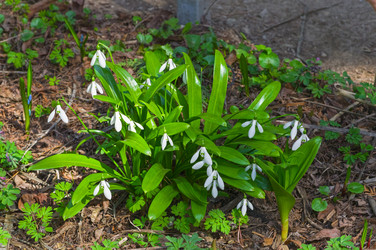 Similar image 21774542