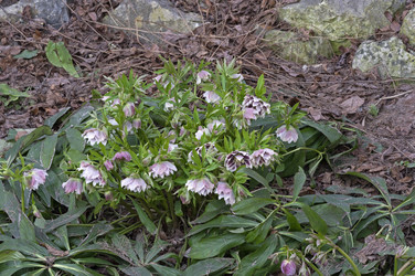 Similar image 21774543