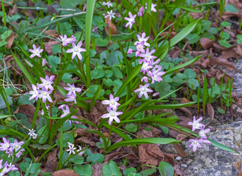 Similar image 21774545