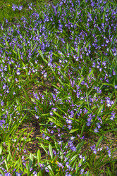 Similar image 21774546