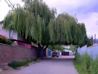 Similar image 21774555