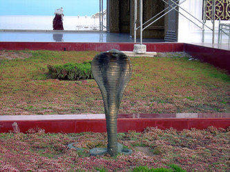 Similar image 21774560