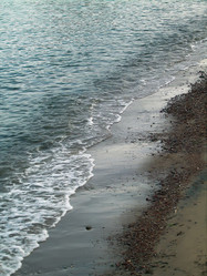 Similar image 21774576