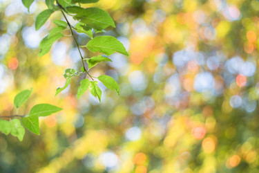 Similar image 21774919