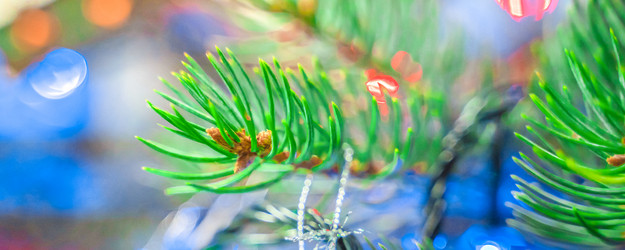 Similar image 21774921