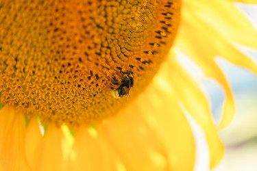 Similar image 21774931