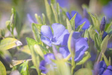 Similar image 21774932