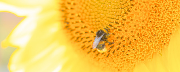 Similar image 21774935