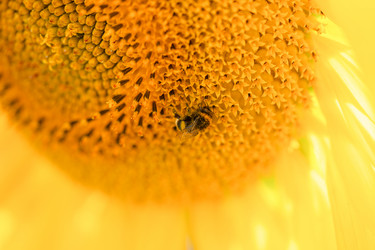 Similar image 21774937