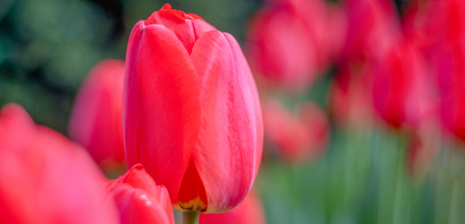 Similar image 21774939