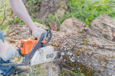 Similar image 21774946