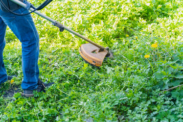 Similar image 21774948