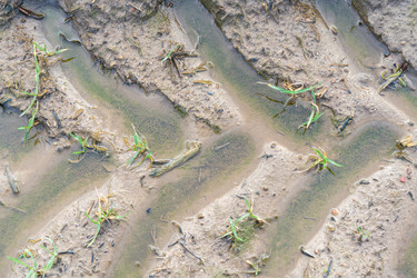 Similar image 21774949