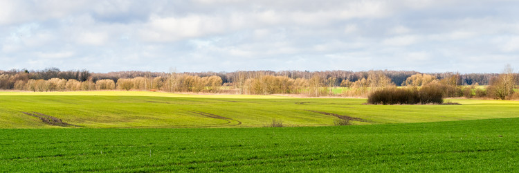 Similar image 21774951