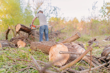 Similar image 21774952