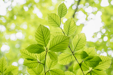 Similar image 21774953