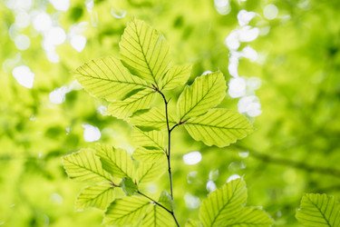 Similar image 21774955