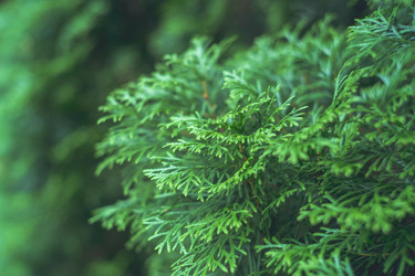 Similar image 21774959