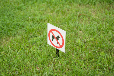 Similar image 21774965