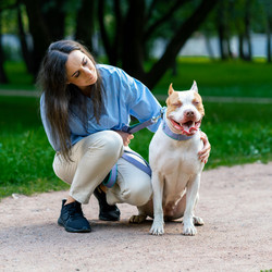 Similar image 21775238