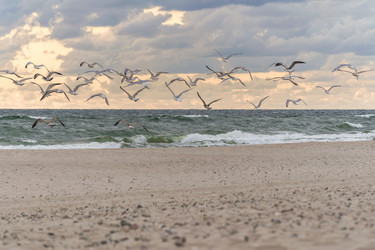 Similar image 21775257