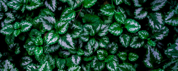 Similar image 21775261