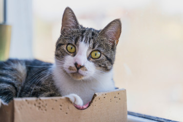 Similar image 21775267