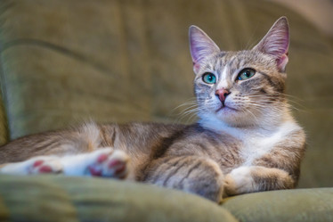 Similar image 21775275