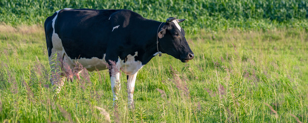 Similar image 21775281