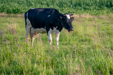 Similar image 21775283