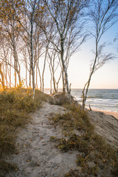 Similar image 21775291