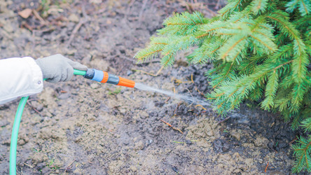 Similar image 21775297