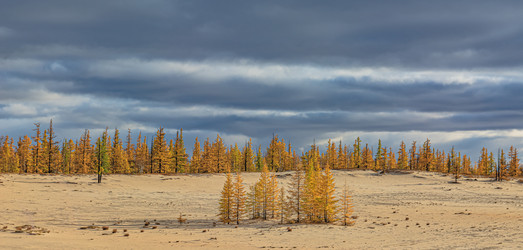 Similar image 21774969