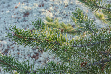 Similar image 21774973